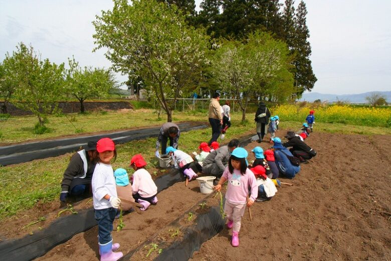 サツマイモの植え付け　会津美里町