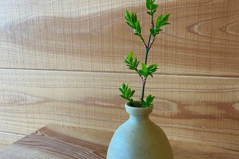 みち草と呼吸する家。