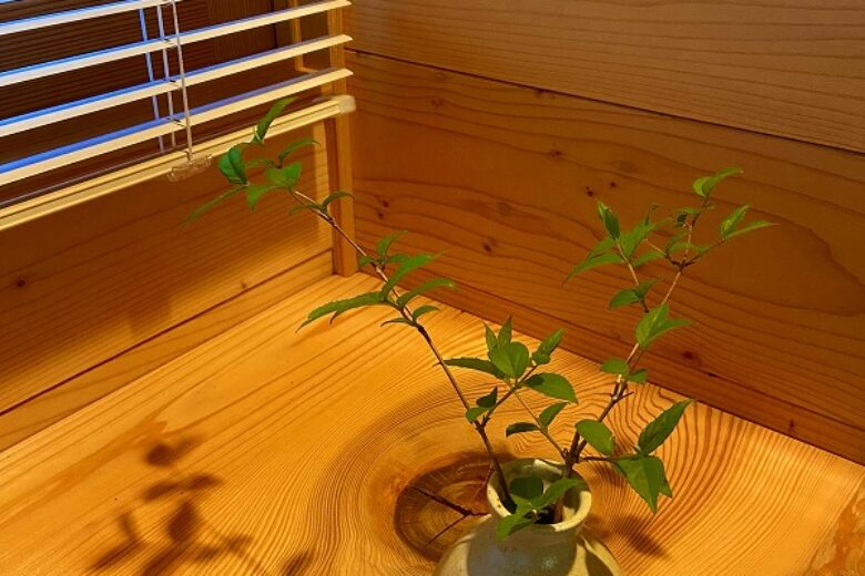 GW休業期間のお知らせ。