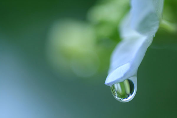 取り扱い商品 THEAR オールアルミニウム輻射式冷暖房システム 株式会社志木 自然素材の家・国産木材使用の注文住宅｜会津の工務店・株式会社 志木