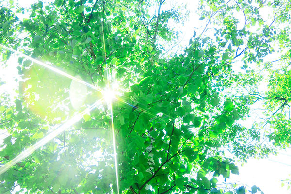 取り扱い商品 THEAR オールアルミニウム輻射式冷暖房システム 株式会社志木 自然素材の家・国産木材使用の注文住宅｜会津の工務店・株式会社 志木