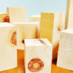 木育 もくいく 株式会社志木 自然素材の家・国産木材使用の注文住宅｜会津の工務店・株式会社 志木